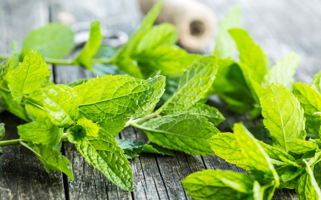 Mint Mayo